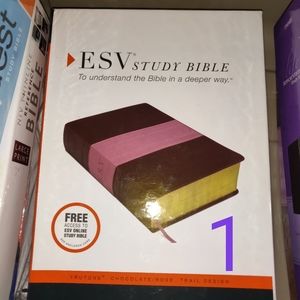 Women's Study Bibles